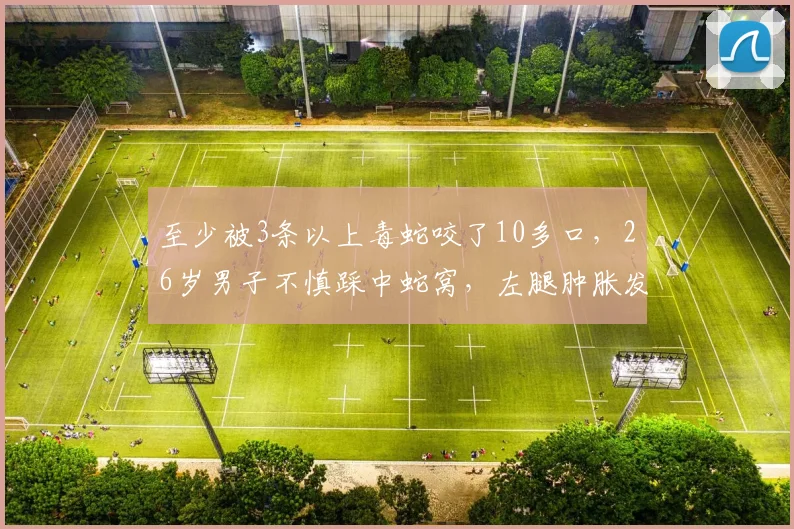 至少被3条以上毒蛇咬了10多口，26岁男子不慎踩中蛇窝，左腿肿胀发紫发黑，伤口不断渗血，一个小时后，彻底陷入休克